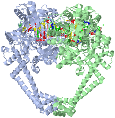 Image Asym./Biol. Unit