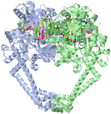 Image Asym./Biol. Unit - sites