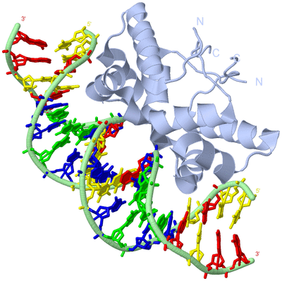 Image Biological Unit 1