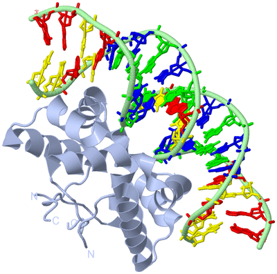 Image Biological Unit 1