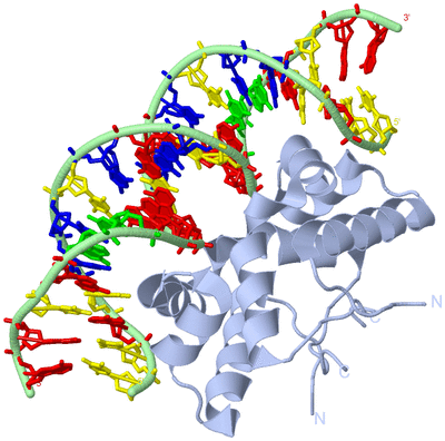 Image Biological Unit 1