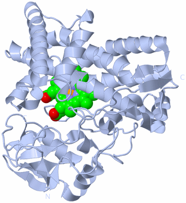 Image Biological Unit 1