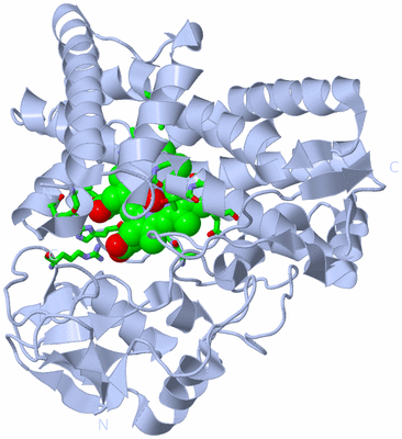 Image Biol. Unit 1 - sites