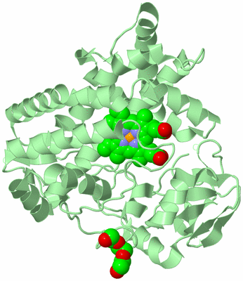 Image Biological Unit 2