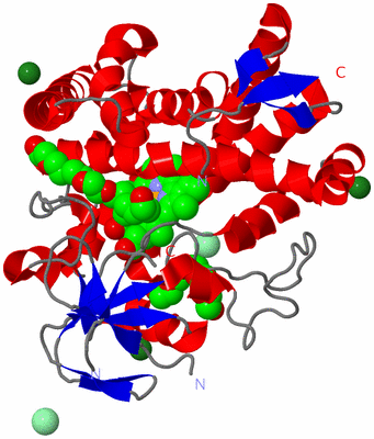 Image Asym./Biol. Unit