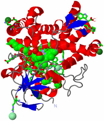 Image Asym./Biol. Unit - sites