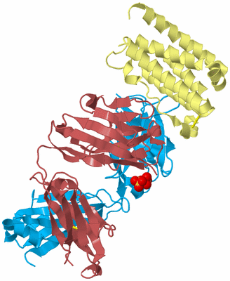 Image Biological Unit 1