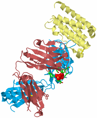 Image Biol. Unit 1 - sites