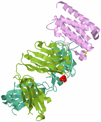 Image Biological Unit 2