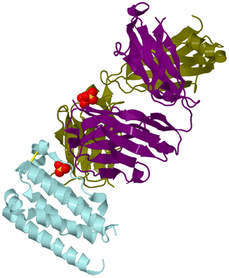 Image Biological Unit 3