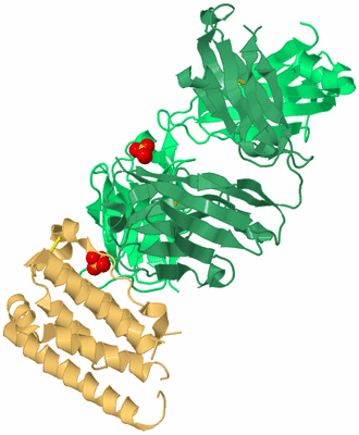 Image Biological Unit 4