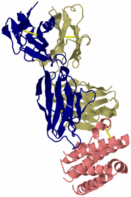 Image Biological Unit 5