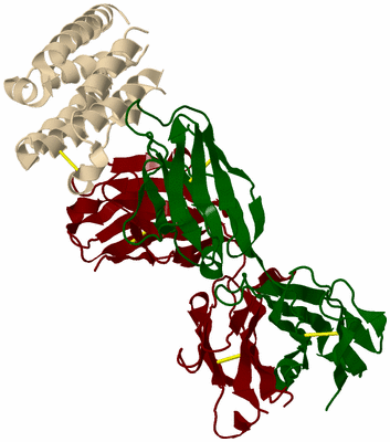 Image Biological Unit 6