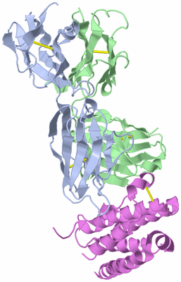 Image Biological Unit 8