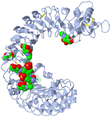 Image Biological Unit 1