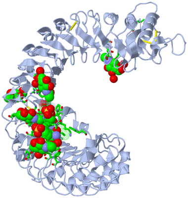 Image Biol. Unit 1 - sites