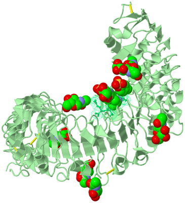 Image Biological Unit 2