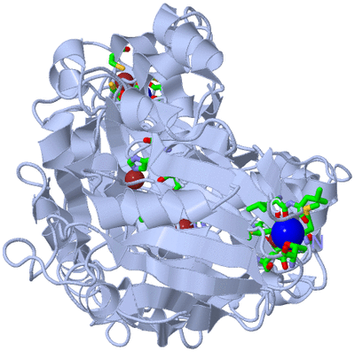 Image Biol. Unit 1 - sites