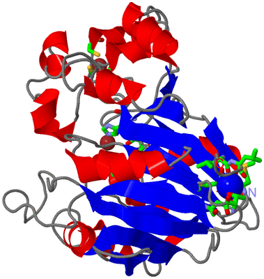 Image Asym. Unit - sites