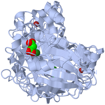 Image Biological Unit 1