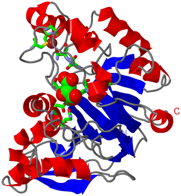 Image Asym. Unit - sites