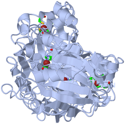 Image Biol. Unit 1 - sites