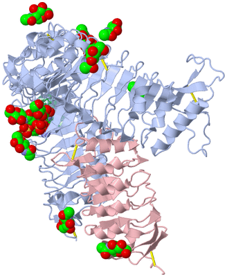 Image Biological Unit 1