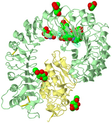 Image Biological Unit 2