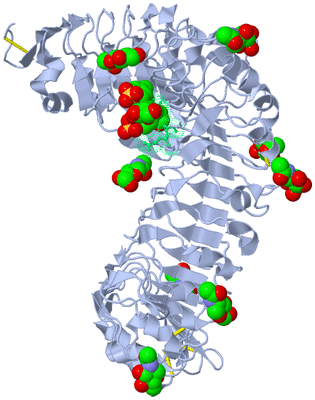 Image Asym./Biol. Unit