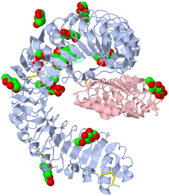 Image Biological Unit 1