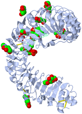 Image Biological Unit 2