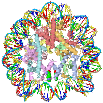 Image Asym./Biol. Unit