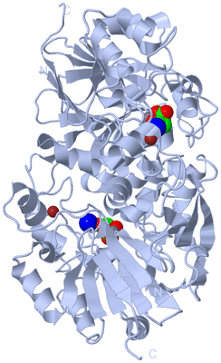 Image Biological Unit 1