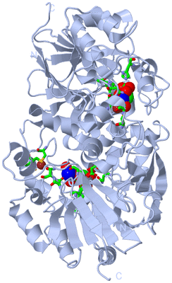 Image Biol. Unit 1 - sites