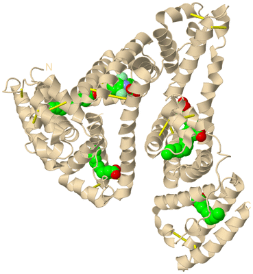 Image Biological Unit 2