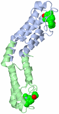 Image Asymmetric Unit