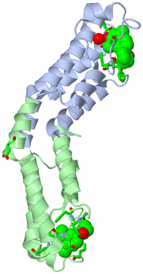 Image Asym. Unit - sites