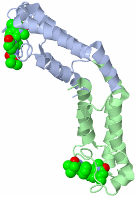 Image Asymmetric Unit