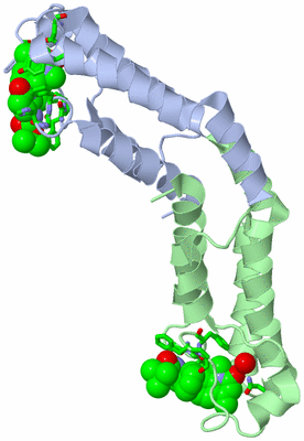 Image Asym. Unit - sites