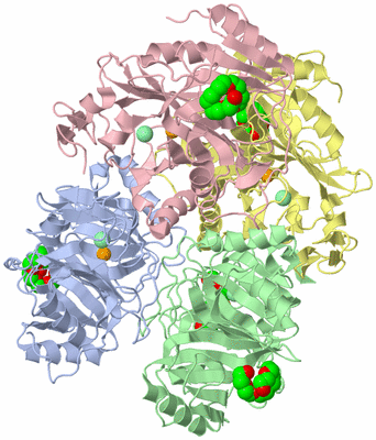 Image Asym./Biol. Unit