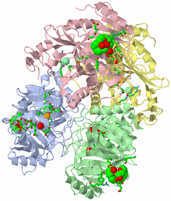 Image Asym./Biol. Unit - sites