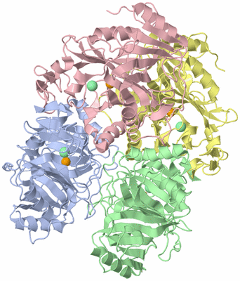 Image Asym./Biol. Unit