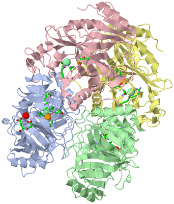 Image Asym./Biol. Unit - sites