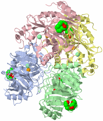 Image Asym./Biol. Unit