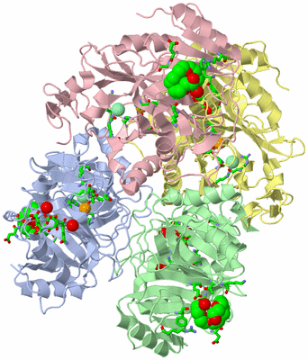 Image Asym./Biol. Unit - sites