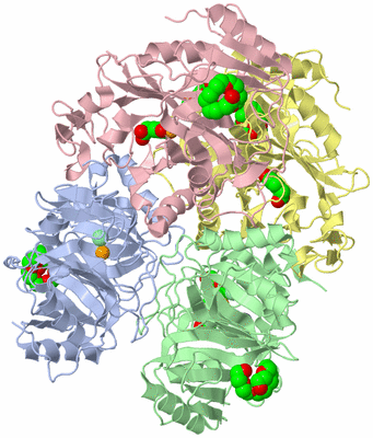 Image Asym./Biol. Unit