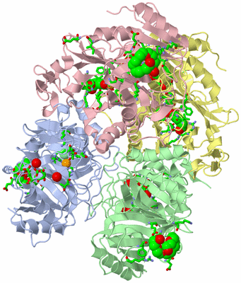 Image Asym./Biol. Unit - sites