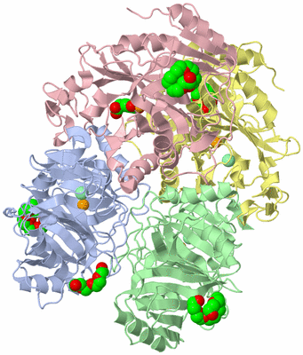 Image Asym./Biol. Unit