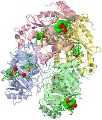 Image Asym./Biol. Unit - sites