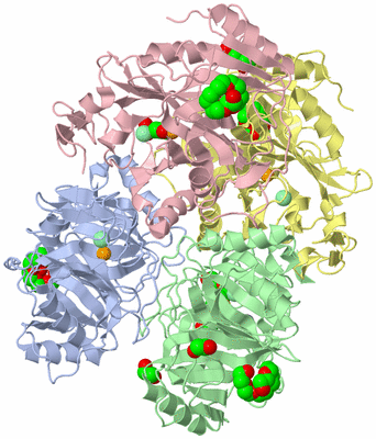 Image Asym./Biol. Unit